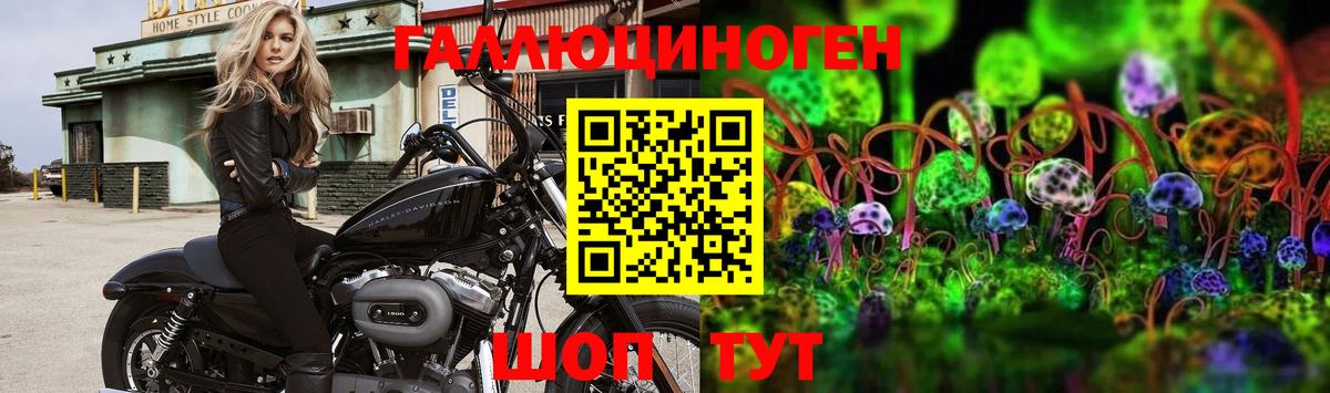 Псилоцибиновые грибы Magic Shrooms  Вход с VPN  Самара  Псилоцибиновые грибы Cubensis 